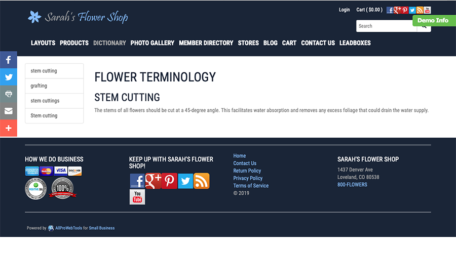 Increase your SEO and Google Ranking with Dictionary Terms!