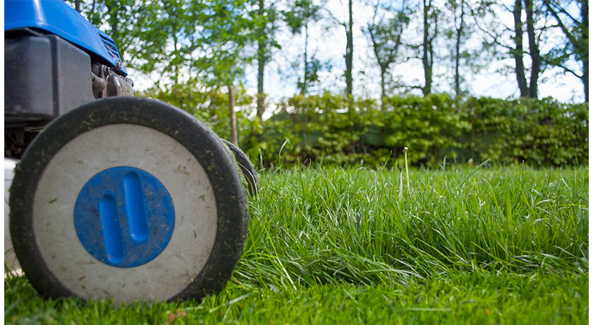 Yard Maintenance - Landscaping: Industry of the Month