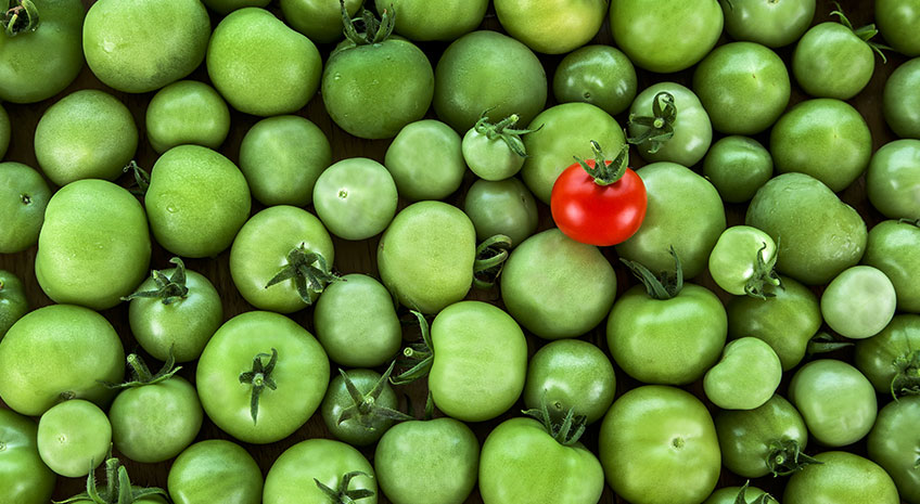 5 Branding How-Tos from Successful Entrepreneurs