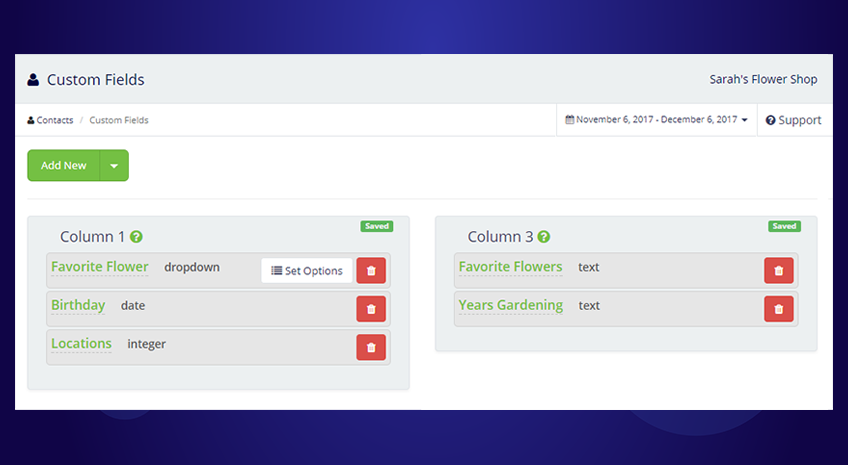 Save Time and Convert More Leads by Using Custom Field Options