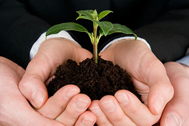 5 Spring Cleaning Tips from Small Business Owners