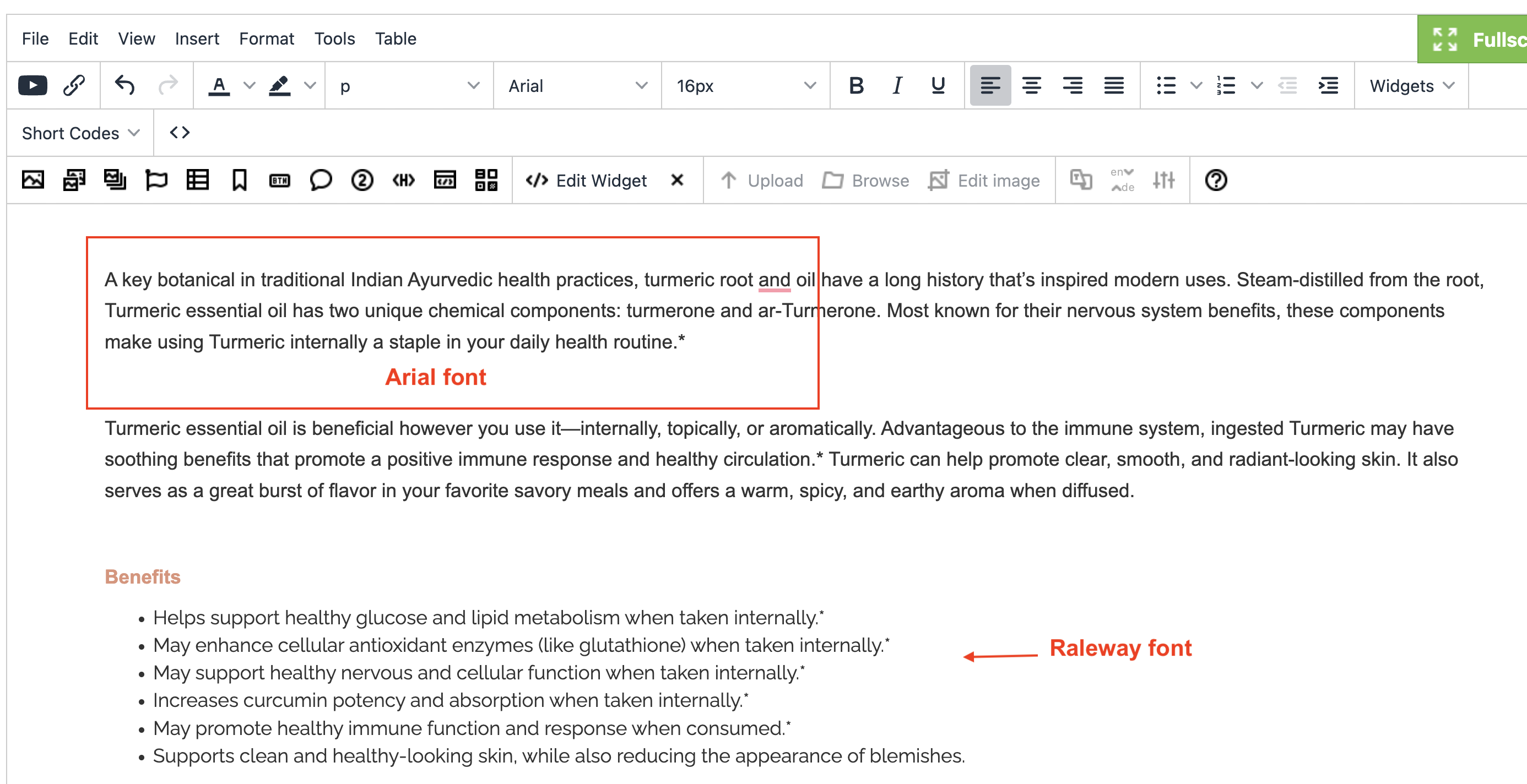 WYSIWYG Editor Screenshot 2023-07-01 at 12.28.28 PM.png