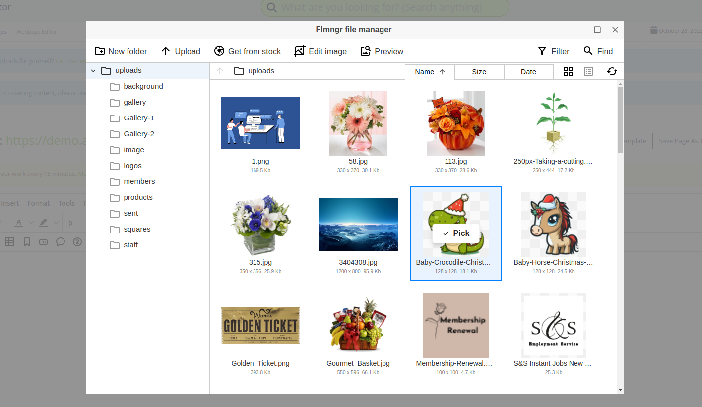 screenshot-c220.allprowebtools-demo.com-2023.11.28-08_20_23.png