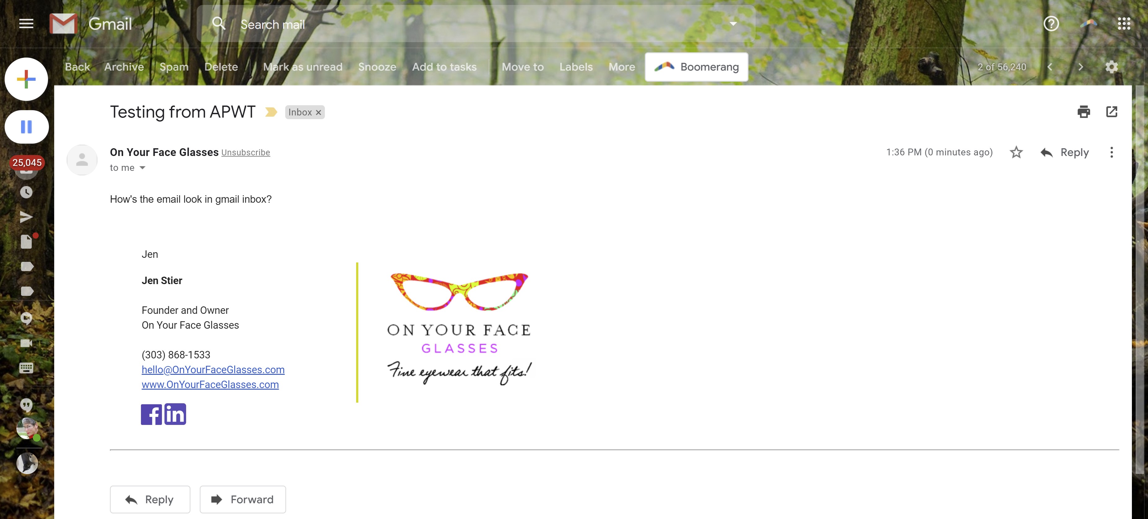 APWT Support screen shot - email to gmail.jpg