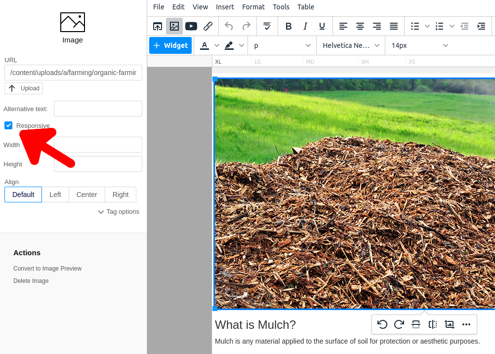 responsive-images.png