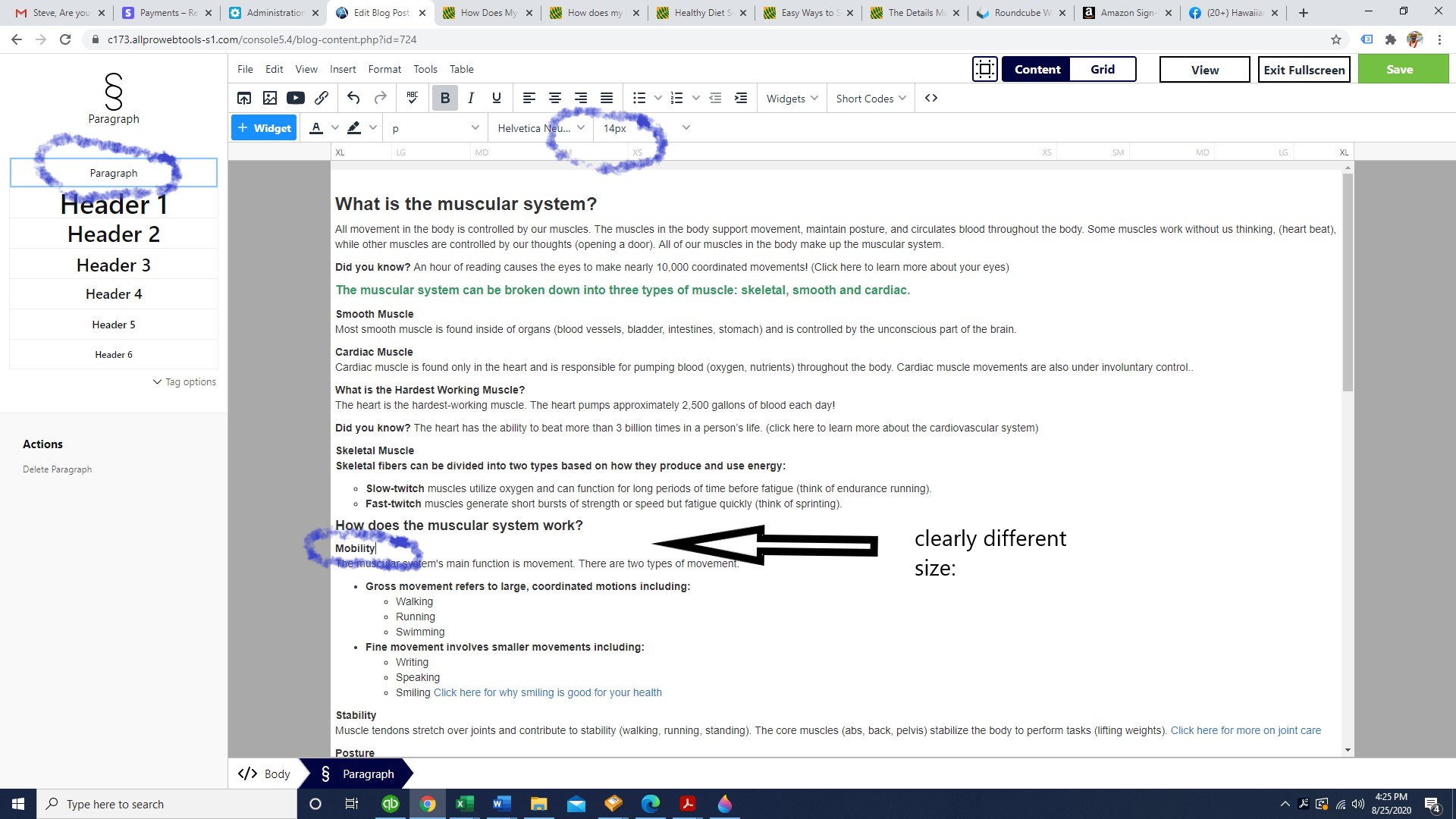 blog font size issue 2.jpg