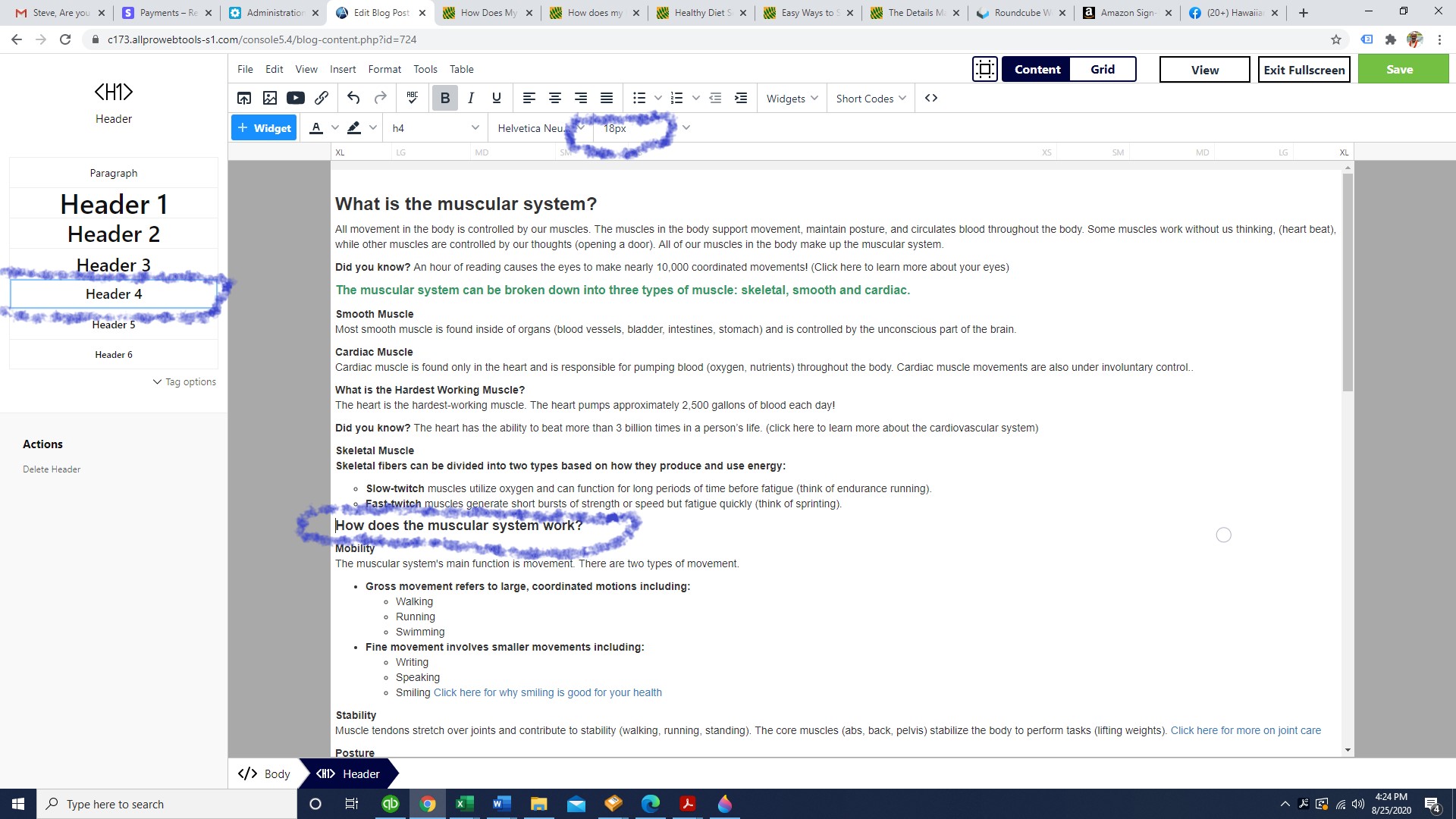 blog font size issue 1.jpg