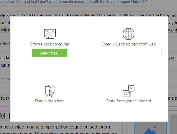 Upload Options.png